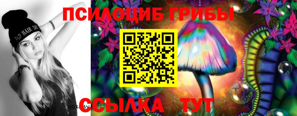 Галлюциногенные грибы Psilocybe  Галлюциногенные грибы Psilocybine cubensis  Новокубанск  Вход с VPN 